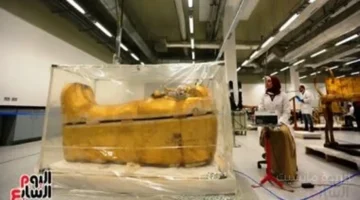 المتحف المصري الكبير الكشف عن كواليس الشراكة الدولية التي حولت الحلم إلى واقع 1